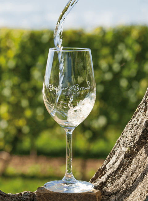 Weissweinglas Offene Weinprobe des Weingut Biegler & Brand in der Vinothek des Weinhotel Kaisergarten