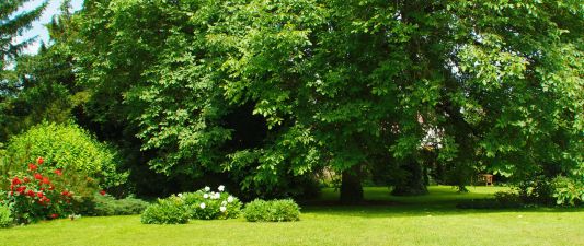 A view of the lush, green Kaisergarten, which gave its name to the Kaisergarten Hotel and Wine Bar