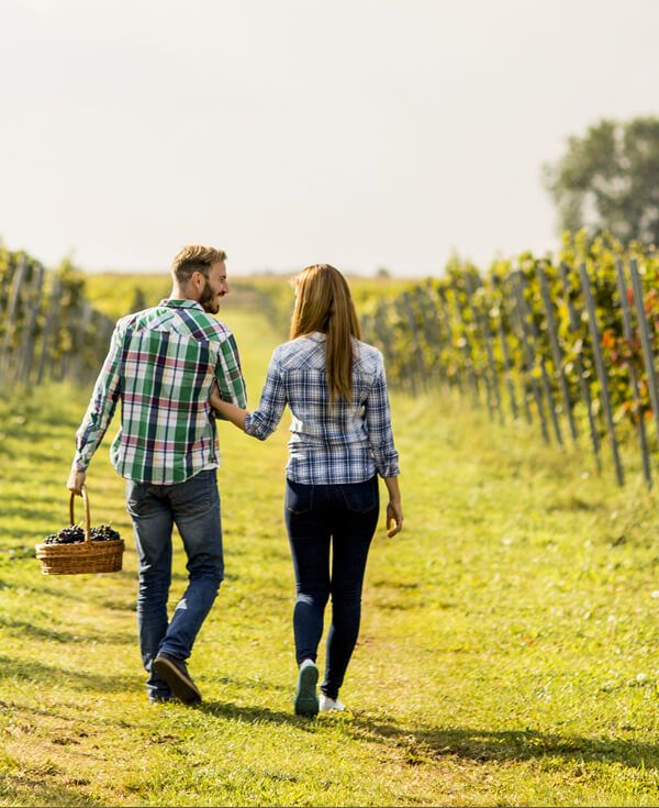 Weinromantik in Rheinhessen ♥