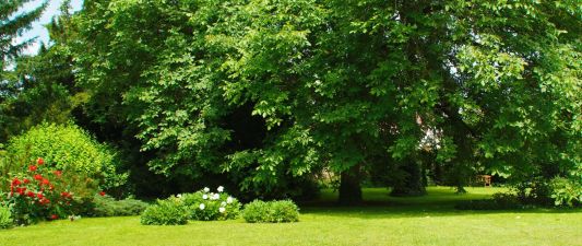 A view of the lush, green Kaisergarten, which gave its name to the Kaisergarten Hotel and Wine Bar