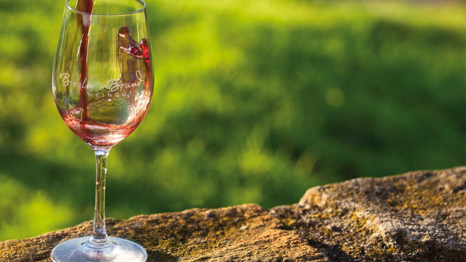 Ein Glas mit Logo vom Weingut Biegler & Brand steht in den Weinbergen auf alten Rebstock in das Glas wird Rotwein eingeschenkt 